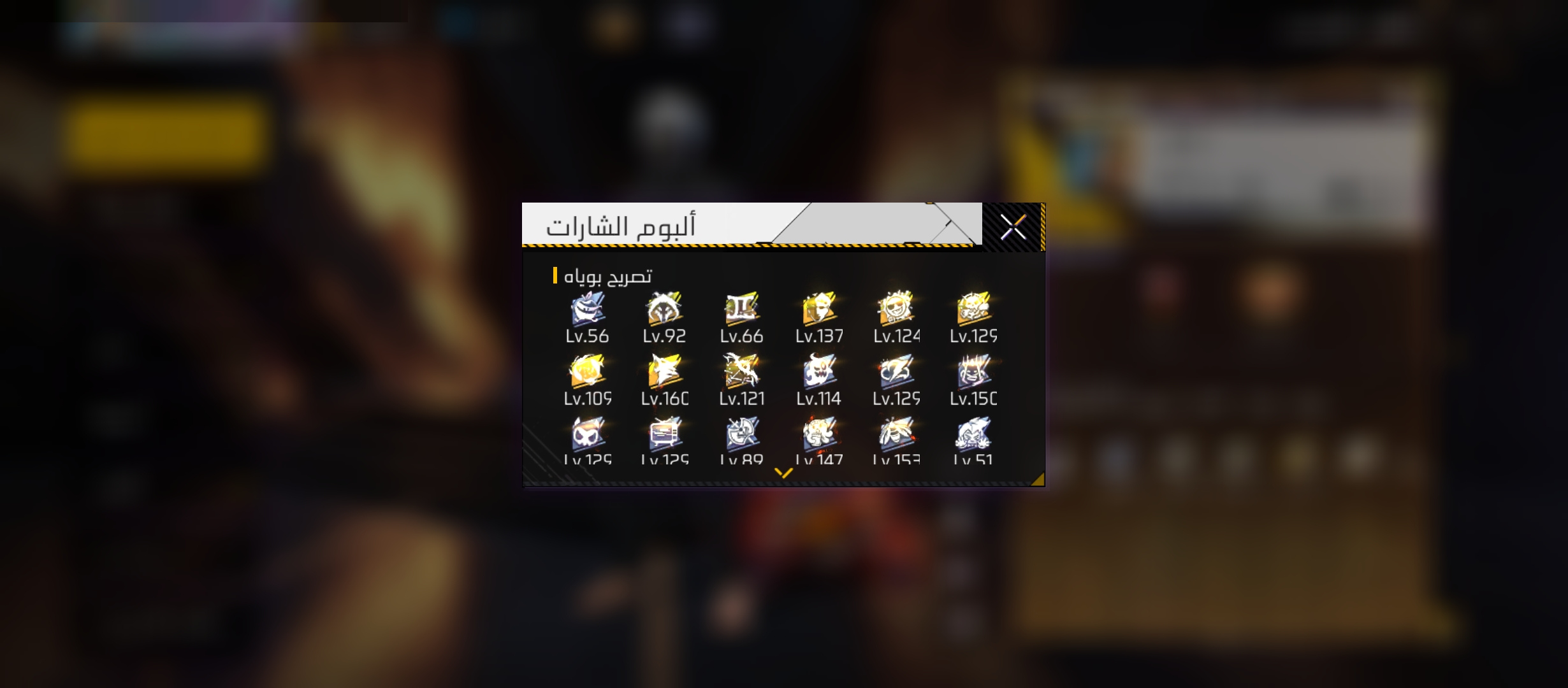 صورة 6