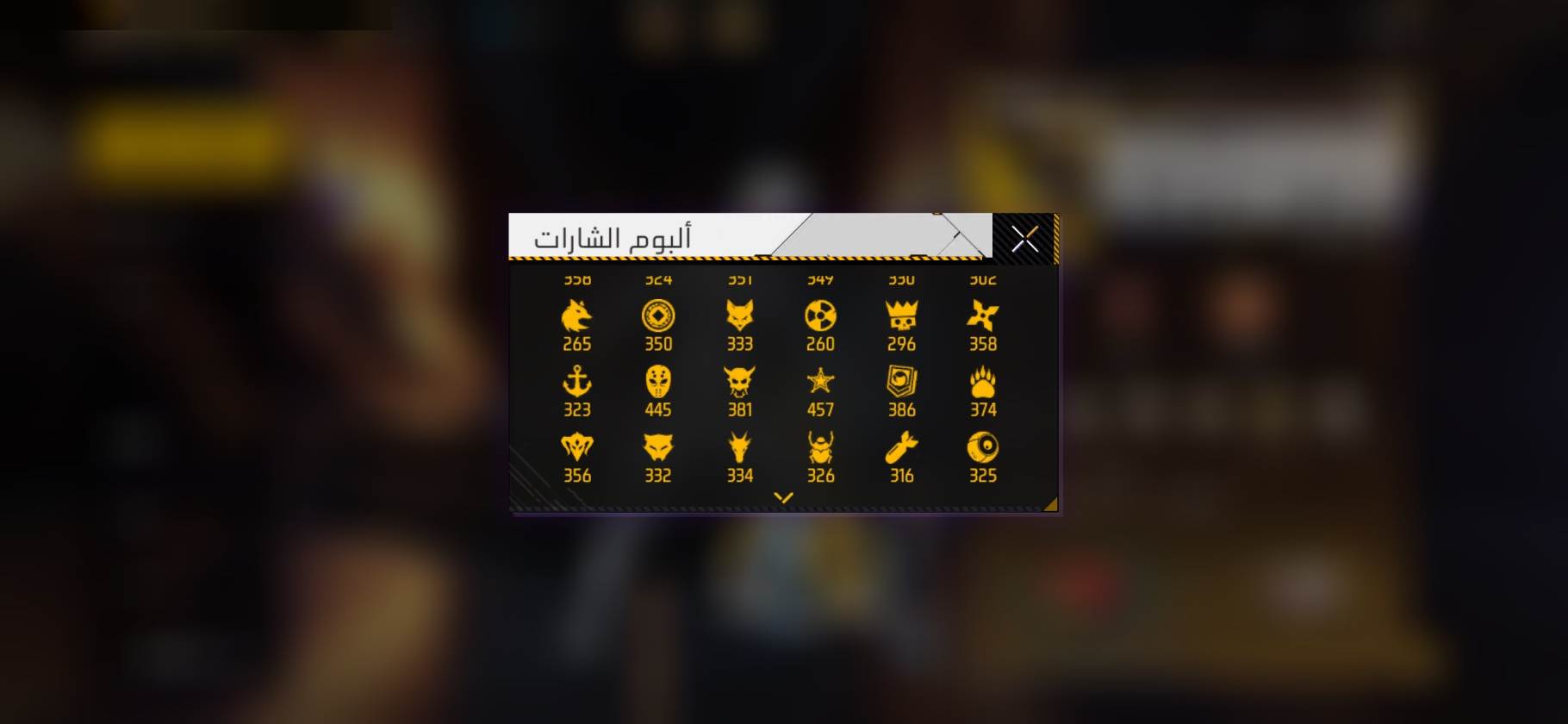 صورة 11
