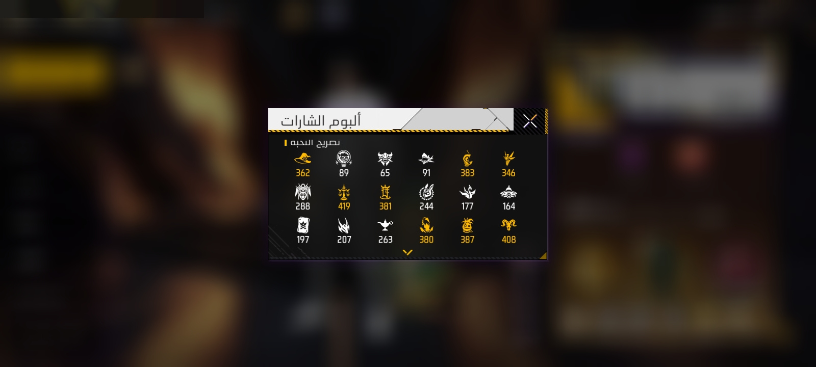 صورة 11